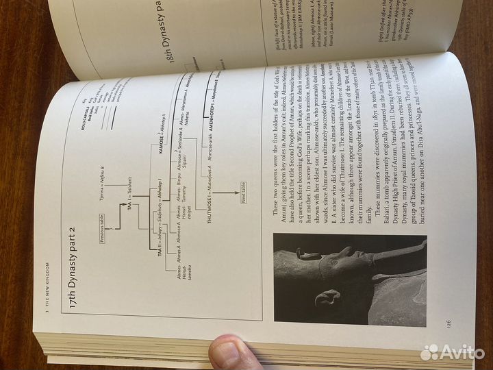 Древний Египет: фараоны, династии, символика