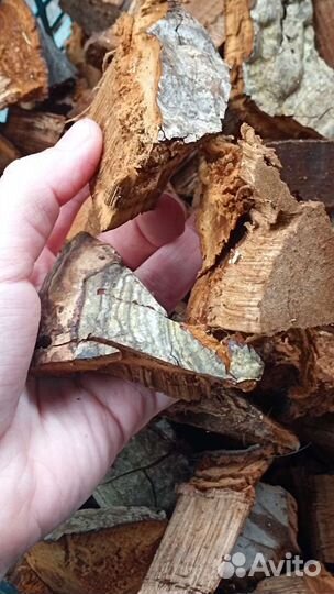Топливо для дымаря гриб трутовик