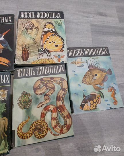 Энциклопедия Жизнь животных