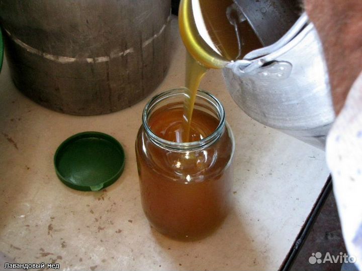 Мед оптом от производителя