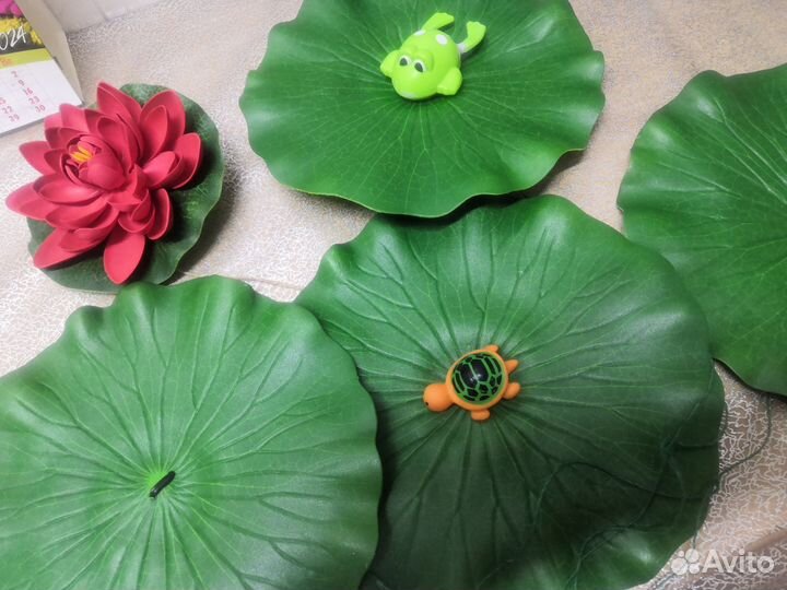 Кувшинки для пруда