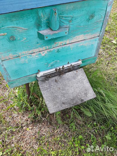 Улей для пчел бу