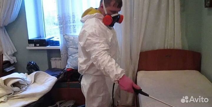 Средство для Уничтожения клопов травля тараканов дезинфекции