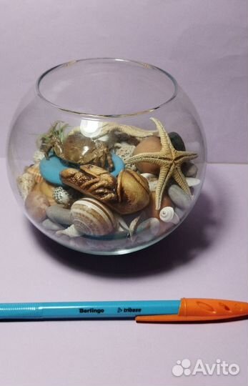 Сухой аквариум ракушки