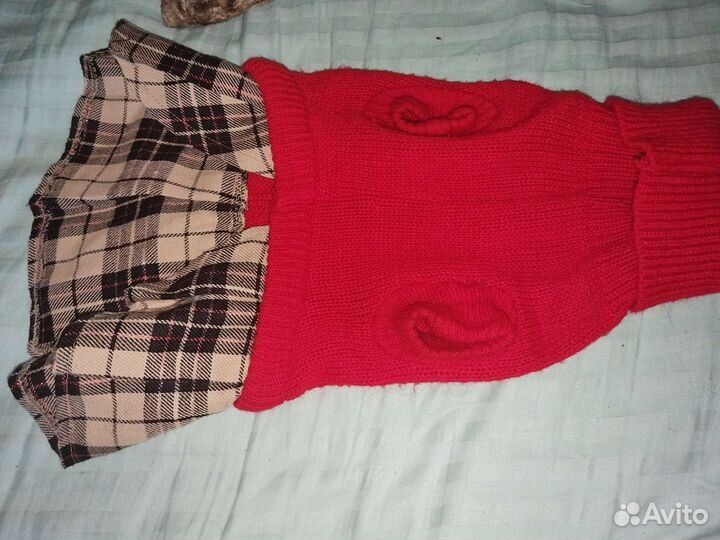 Костюм для маленькой собаки