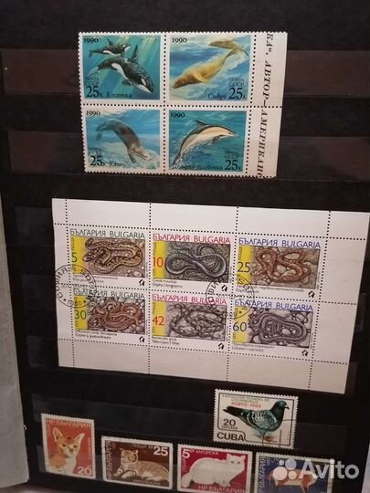 Коллекционные марки