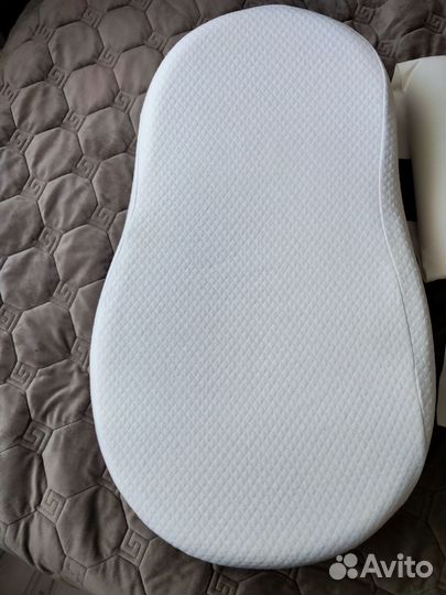 Кокон Зёвушка