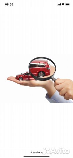 Независимая экспертиза