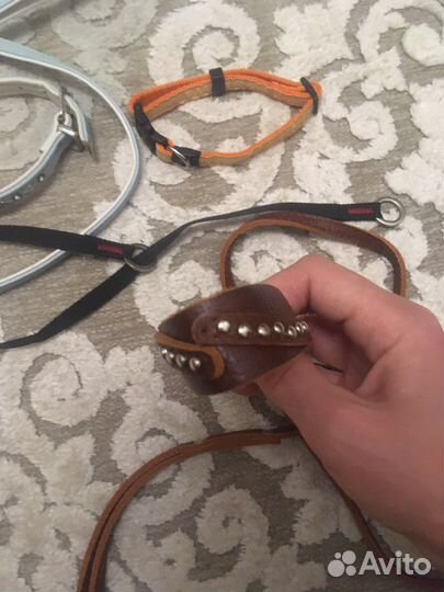 Ошейник поводок ринговка