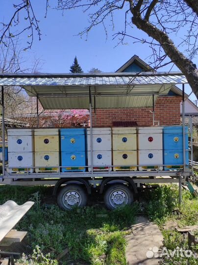 Прицеп для пчел