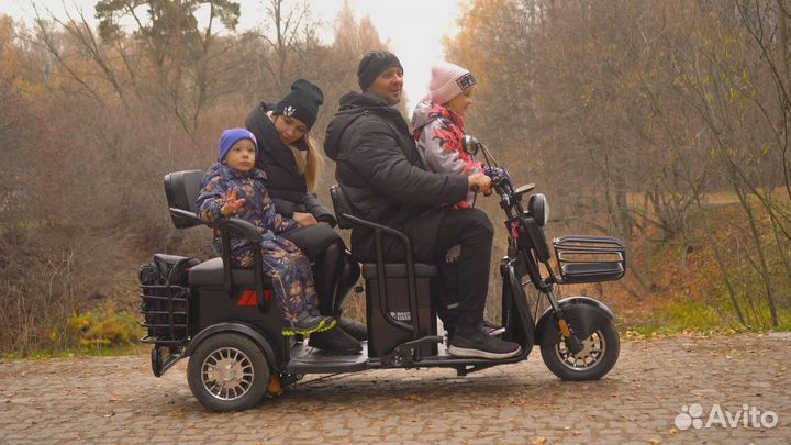 Электротрицикл White Siberia Sibtrike R 2000W