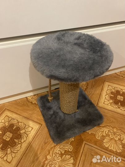 Когтеточка для кошки новая