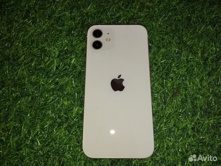 iPhone 11, 256 ГБ