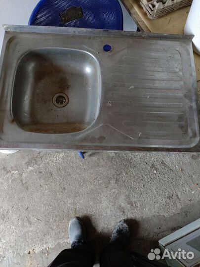 Раковина тюльпан и другие