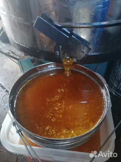 Мёд васильковый оптом