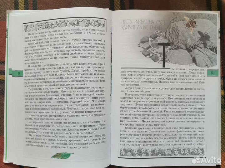 Книга Великан на поляне