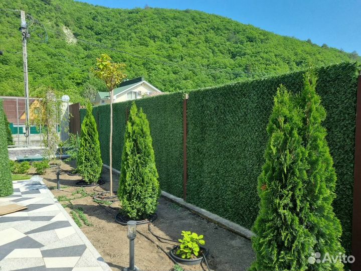 Забор из искусственной травы