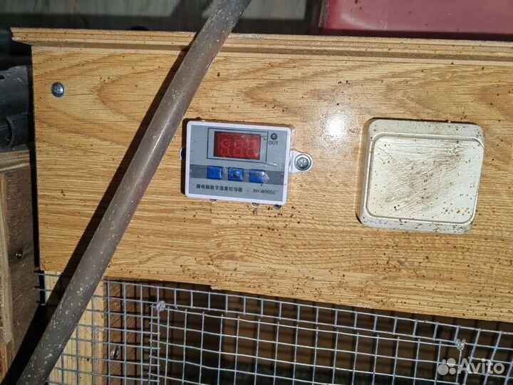 Для перепелов брудер, клетки, инкубатор