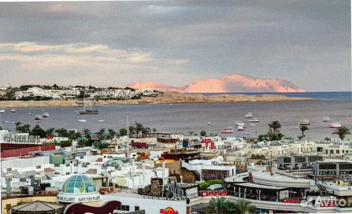 Турпоездка в Египет, Наама Бей на 7 нч все вкл