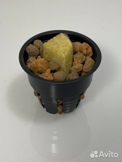 DWC Бокс для Гидропоники