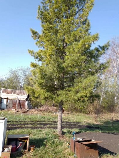 Дача 40 м² на участке 6 сот.