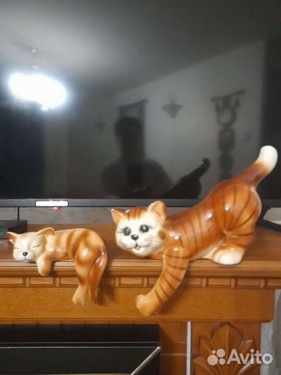 Позитивные котики