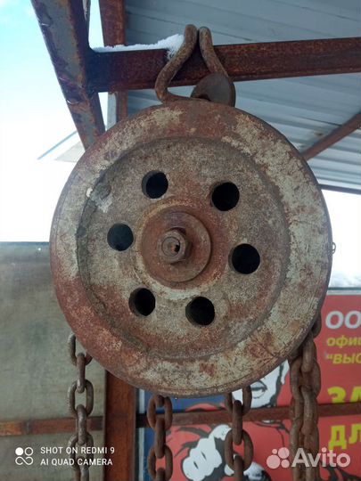 Талька цепная