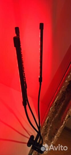 Фитолампа для растений