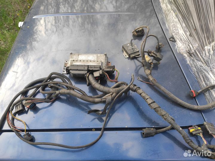 Эбу Микас11 Крайслер Волга