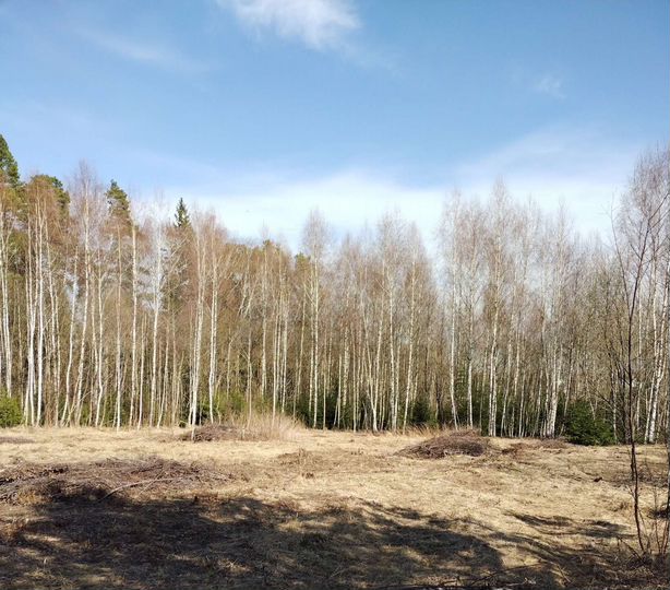 Участок 13 сот. (СНТ, ДНП)