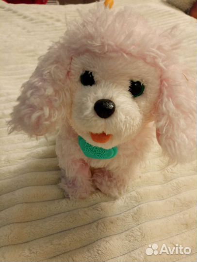 Интерактивная собака