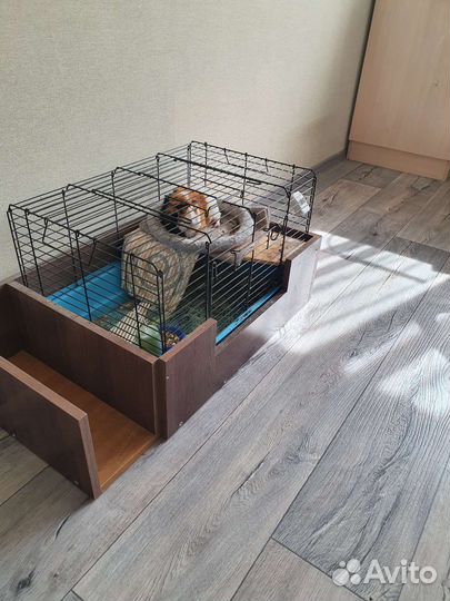 Клетка для морской свинки