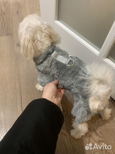 Комбинезон для маленькой собаки