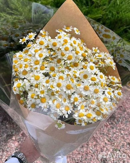 Ромашки Букет из ромашек доставка