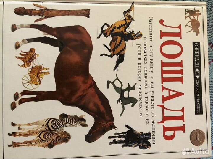 Очевидец Дорлинг Киндерсли 5 книг