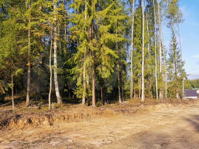 Участок 10 сот. (ИЖС)