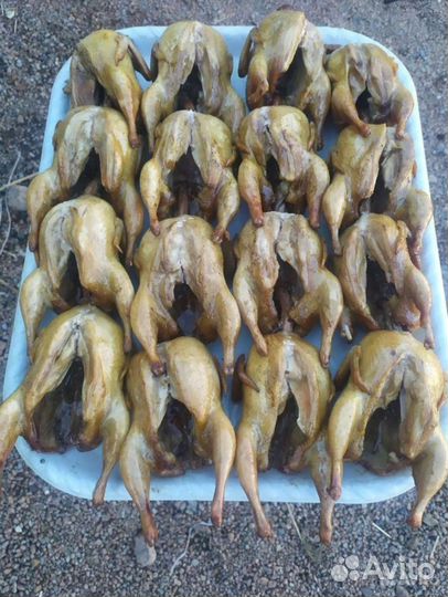 Перепелиное мясо и яйцо