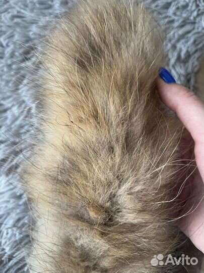 Мех на капюшон натуральный