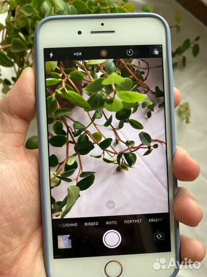 iPhone 7 Plus, 256 ГБ