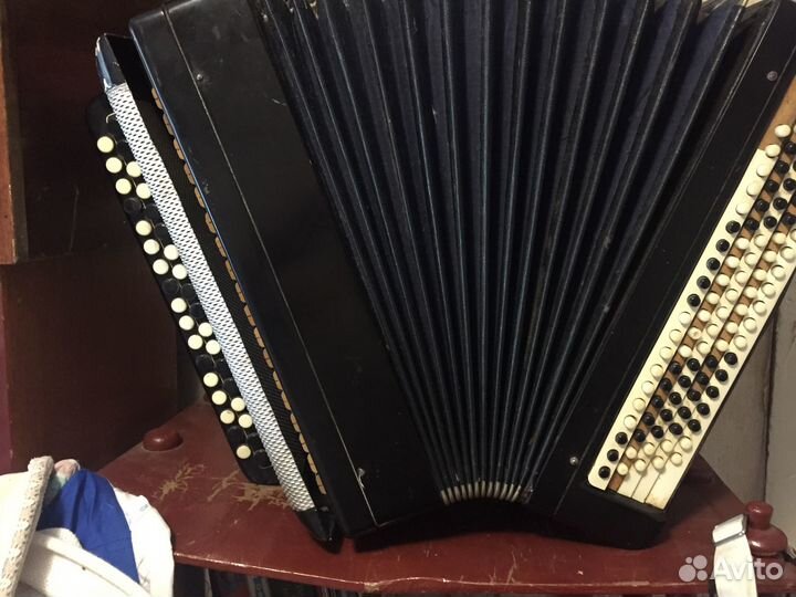 Баян тульский