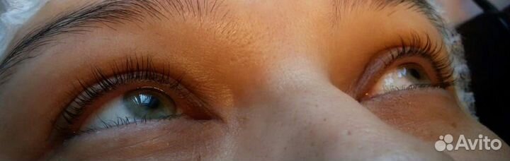 Вельвет ресниц +художественное оформление бровей в