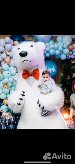 Белый мишка поздравление/гендер пати под ключ