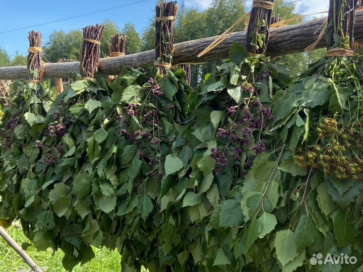 Веники для бани в ассортименте