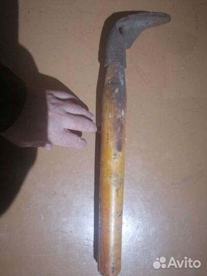 Лапа обувная