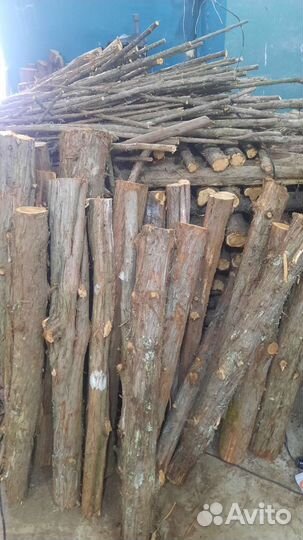 Можжевельник