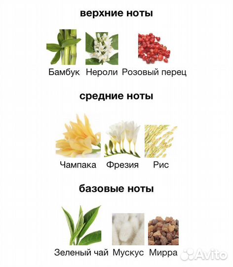 Ormonde Jayne Champaca распив / новый флакон