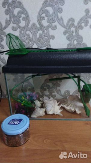 Аквариум 10 литров