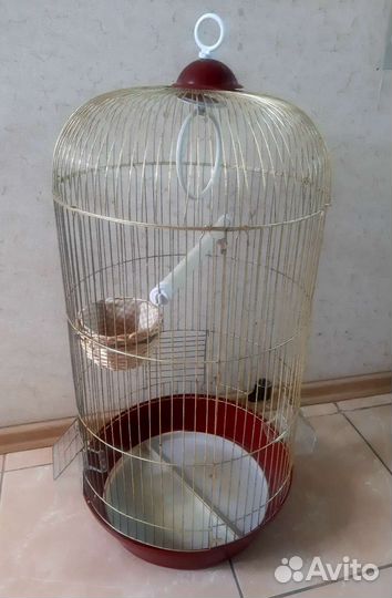 Клетка для попугая