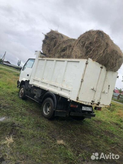 Сено в рулонах