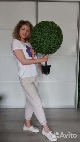 Искусственный самшит